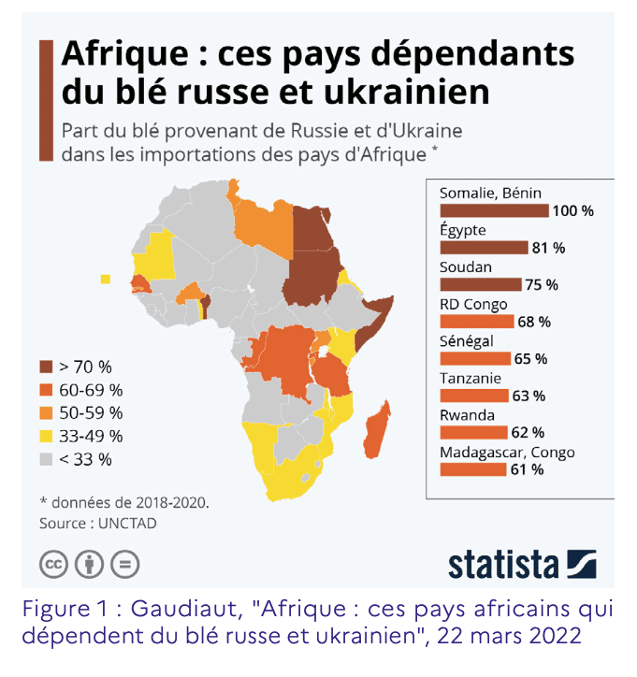 L’initiative africaine : l’ombre de la Russie qui éclipse la France en Afrique